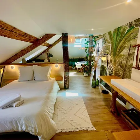 Nid Douillet Sous Les Toits Avec Jacuzzi Apartment Bagneres-de-Bigorre