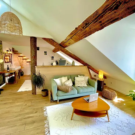 Apartment Nid Douillet Sous Les Toits Avec Jacuzzi Bagneres-de-Bigorre