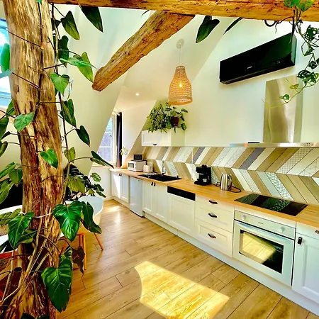 Apartament Nid Douillet Sous Les Toits Avec Jacuzzi *