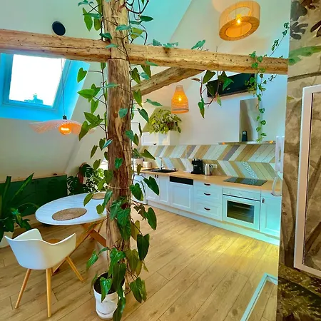 Nid Douillet Sous Les Toits Avec Jacuzzi