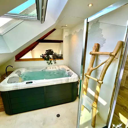 Apartment Nid Douillet Sous Les Toits Avec Jacuzzi *