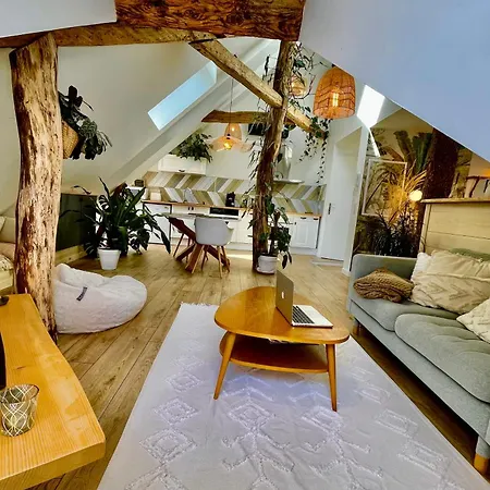 Nid Douillet Sous Les Toits Avec Jacuzzi * Bagnères-de-Bigorre