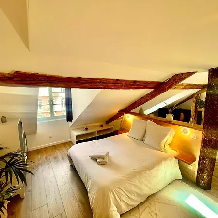 Apartment Nid Douillet Sous Les Toits Avec Jacuzzi Bagneres-de-Bigorre