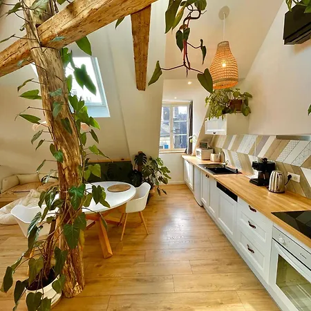 Nid Douillet Sous Les Toits Avec Jacuzzi
