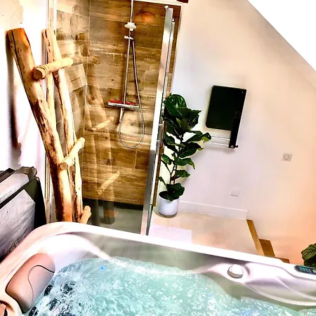 Apartment Nid Douillet Sous Les Toits Avec Jacuzzi *