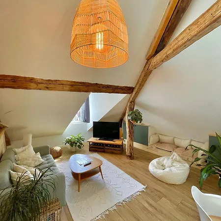 Nid Douillet Sous Les Toits Avec Jacuzzi Apartment Bagneres-de-Bigorre
