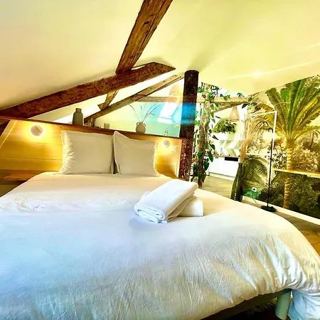 Nid Douillet Sous Les Toits Avec Jacuzzi Bagnères-de-Bigorre