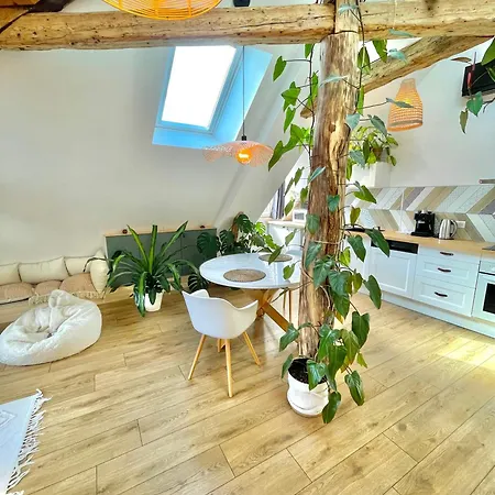 Nid Douillet Sous Les Toits Avec Jacuzzi