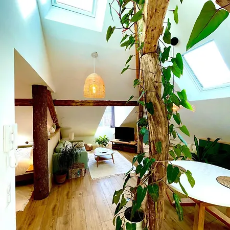 Nid Douillet Sous Les Toits Avec Jacuzzi Apartament *
