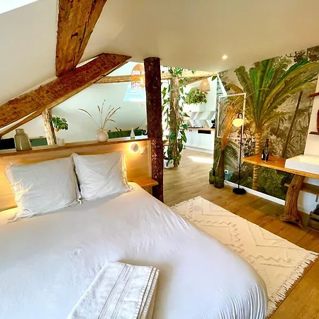 Nid Douillet Sous Les Toits Avec Jacuzzi Apartman