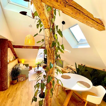 Nid Douillet Sous Les Toits Avec Jacuzzi Apartament *