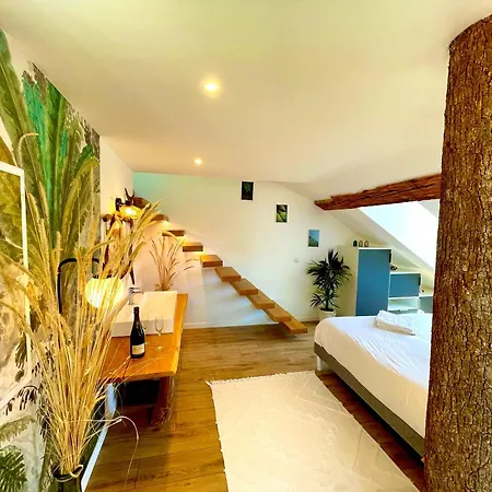 Apartament Nid Douillet Sous Les Toits Avec Jacuzzi *