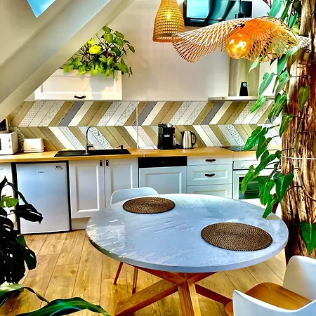 Nid Douillet Sous Les Toits Avec Jacuzzi Apartment Bagneres-de-Bigorre
