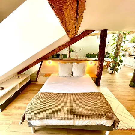 Apartment Nid Douillet Sous Les Toits Avec Jacuzzi *