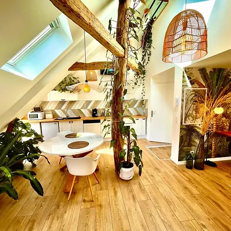 Nid Douillet Sous Les Toits Avec Jacuzzi Bagnères-de-Bigorre