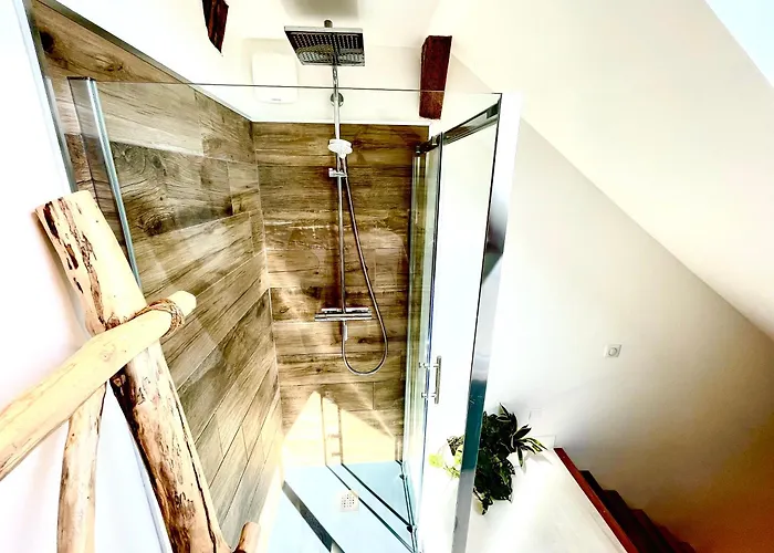 Apartment Nid Douillet Sous Les Toits Avec Jacuzzi *