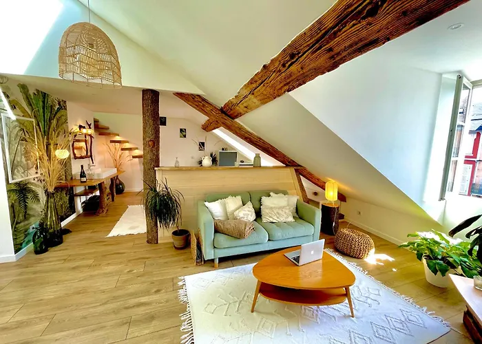 Apartment Nid Douillet Sous Les Toits Avec Jacuzzi Bagneres-de-Bigorre