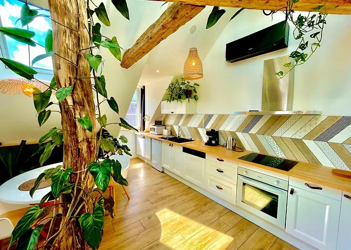 Apartment Nid Douillet Sous Les Toits Avec Jacuzzi *