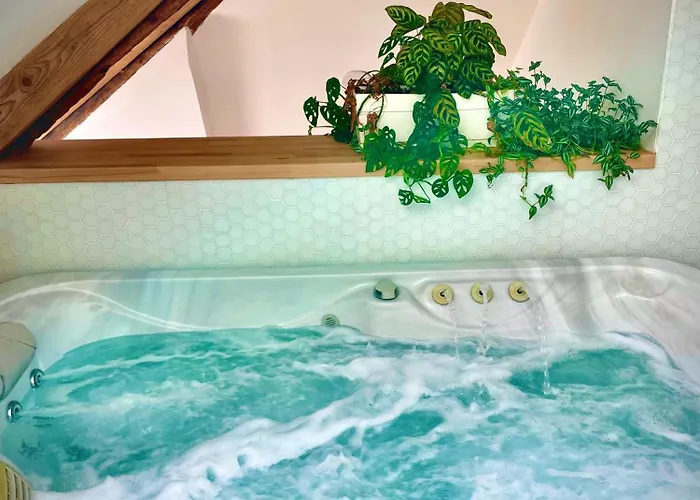 Nid Douillet Sous Les Toits Avec Jacuzzi Apartment Bagneres-de-Bigorre