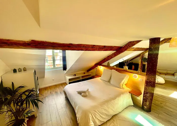 Apartment Nid Douillet Sous Les Toits Avec Jacuzzi Bagneres-de-Bigorre