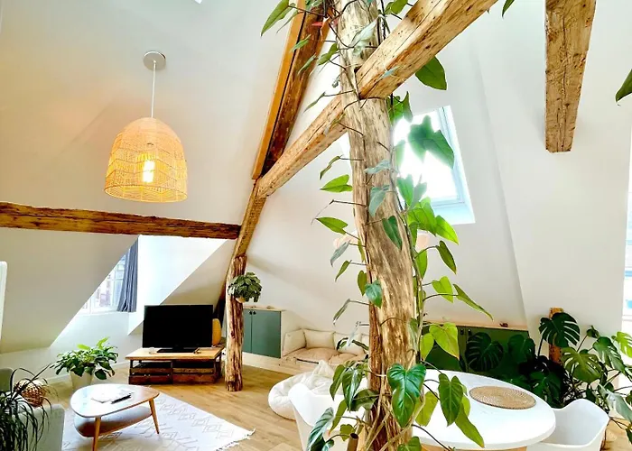 Nid Douillet Sous Les Toits Avec Jacuzzi *