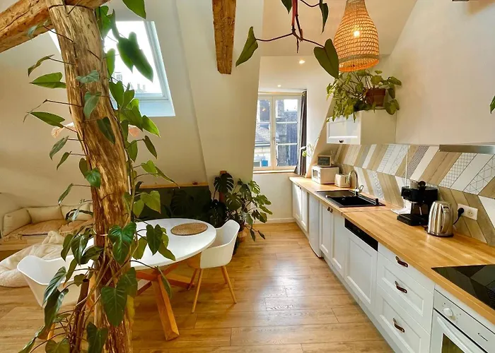 Nid Douillet Sous Les Toits Avec Jacuzzi