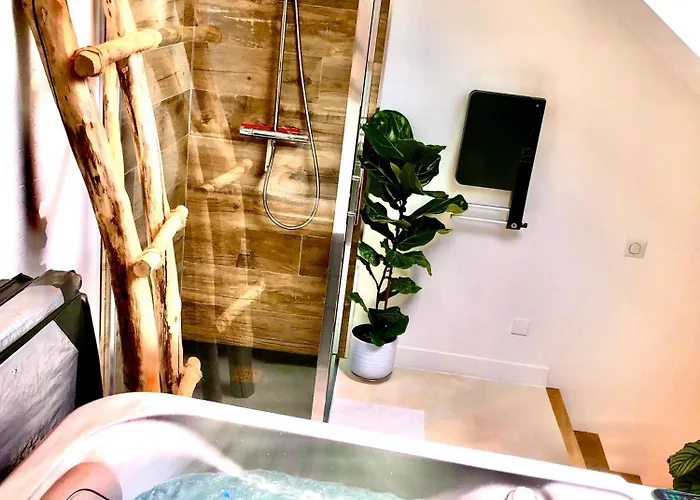 Apartment Nid Douillet Sous Les Toits Avec Jacuzzi *