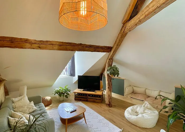 Nid Douillet Sous Les Toits Avec Jacuzzi Apartment Bagneres-de-Bigorre