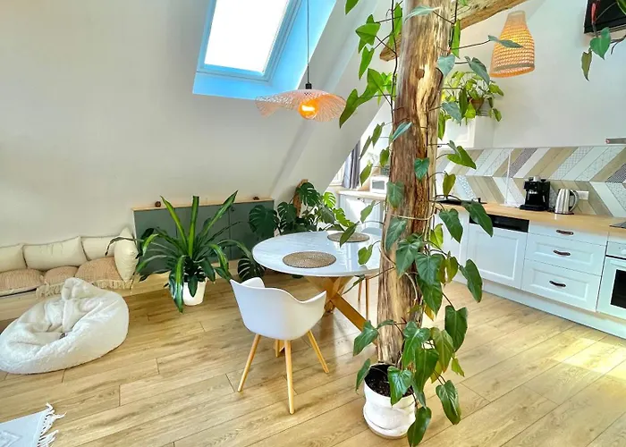 Nid Douillet Sous Les Toits Avec Jacuzzi