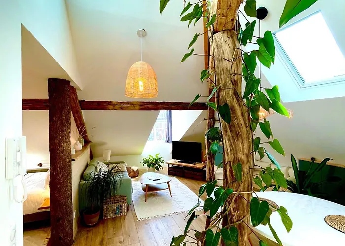 Nid Douillet Sous Les Toits Avec Jacuzzi Apartment *