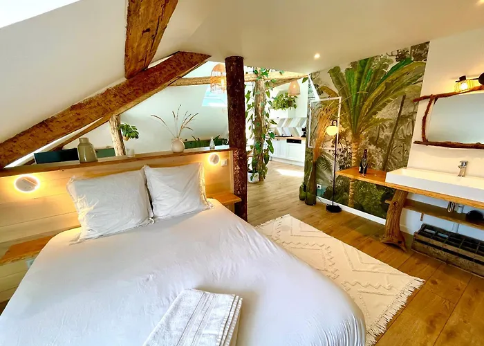 Nid Douillet Sous Les Toits Avec Jacuzzi Apartment