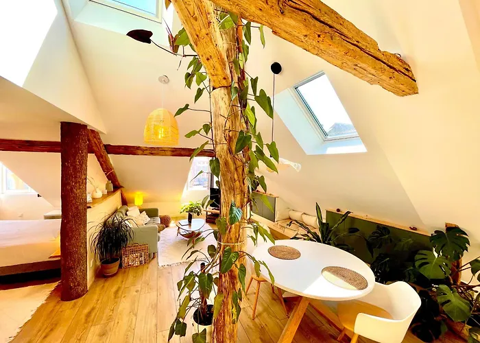 Nid Douillet Sous Les Toits Avec Jacuzzi Apartment *