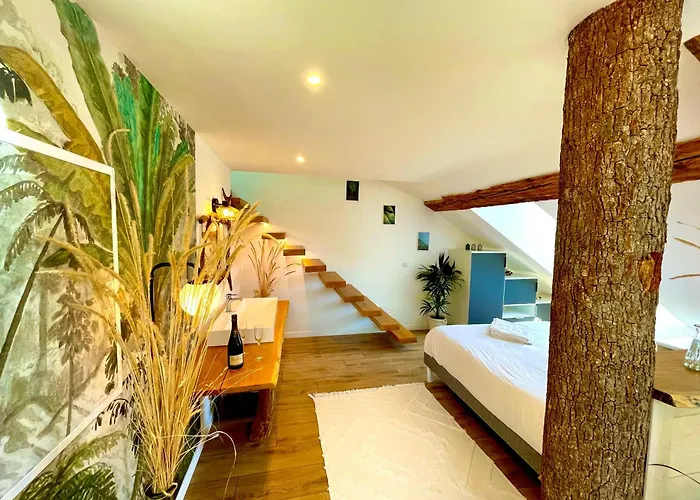 Apartment Nid Douillet Sous Les Toits Avec Jacuzzi *