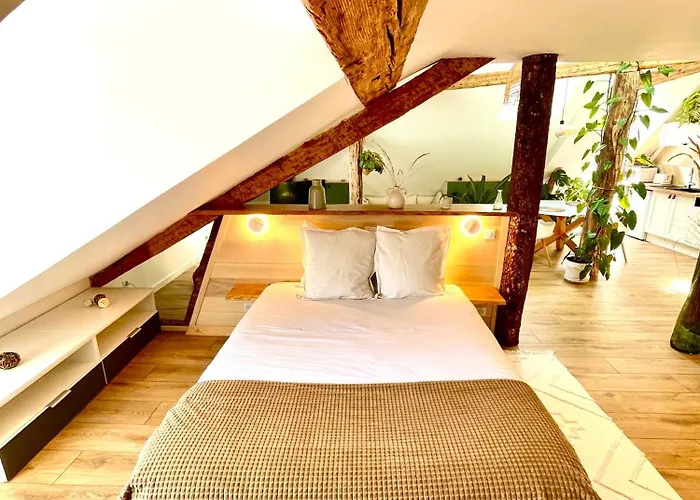 Apartment Nid Douillet Sous Les Toits Avec Jacuzzi *