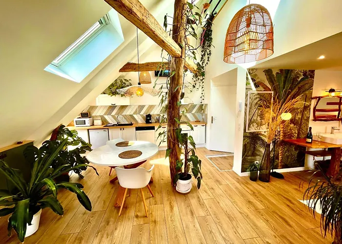 Nid Douillet Sous Les Toits Avec Jacuzzi Bagneres-de-Bigorre